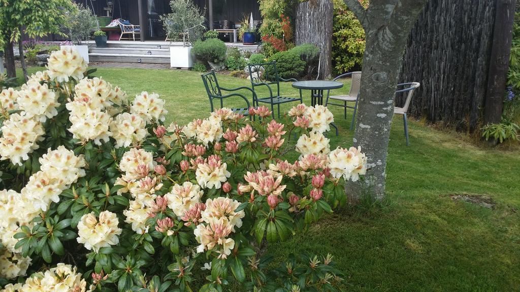 Alpine Rock B&B Te Anau Exterior foto